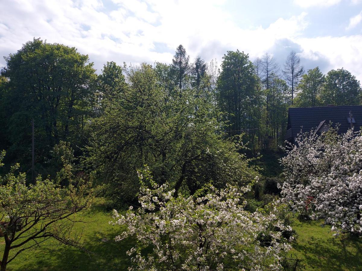 Apartament Bolek I Apartament Lolek Ζακοπάνε Εξωτερικό φωτογραφία